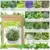 Plantmew 15-Pack 4,500+ Non-GMO Heirloom Seeds Kit – $7.95