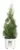 Proven Winners 2-Gallon Arborvitae North Pole Evergreen Shrub for $27 $27.00