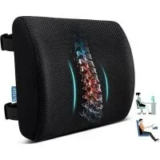 Qutool Memory Foam Lumbar Back Support Pillow for $13.99