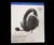 Razer Blackshark V2 X Wired Esport Headset for $16.00