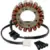 Ricks Motorsport Electric 21-226 Stator Now $65.73, Originally $160.45