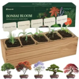 5-Pack Rootcraft DIY Bonsai Tree Kit Now $20 with Coupon