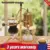 Royal Belgian 15OZ Balance Syphon Coffee Maker for $81.92