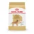 Royal Canin Golden Retriever Adult Dry Dog Food 30 lbs for $25