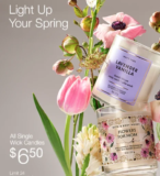 Single Wick Candles Now $6.50 at Bath and Body Works