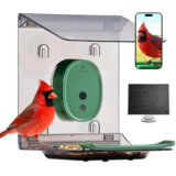 Solar-Powered Smart Bird Feeder with Camera for $19.99