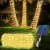 33FT Waterproof Solar Rope Lights with 100 LEDs for $7.99