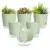 SQKH Self-Watering Plastic Planters – 6 or 7-Pack for $7.99