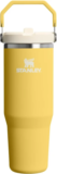 Stanley IceFlow 2.0 Flip Straw Tumbler with Handle (30oz) for $21