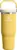 Stanley IceFlow 2.0 Flip Straw Tumbler with Handle (30oz) for $21
