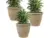 Sunnydaze 24″ Anjelica Large Plastic Pot 3-Pack for $154.99