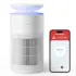 Terro T300B Ant Killer Bait Stations (12-Pack) Now $10.49