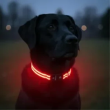 Tractive LED Light-Up USB-Rechargeable Dog Collar (Small, Red) for $4.84
