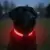 Tractive LED Light-Up USB-Rechargeable Dog Collar (Small, Red) for $4.84