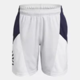 Under Armour Curry Splash Boys Shorts for $9.98