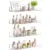 Upsimples 15″ Floating Acrylic Shelves (4-Pack) for $9.99