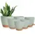 Vanslogreen Self-Watering Planters, 6-Pack for $12.74
