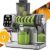 Wetie 200W Cold Press Juicer with 6 Modes for $74.99
