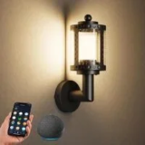 Xmcosy+ Outdoor 1100lm RGBCW LED Wall Light for $29.99