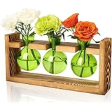 XXFLOWER Glass Plant Terrarium Propagation Station for $6.93