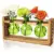 XXFLOWER Glass Plant Terrarium Propagation Station for $6.93