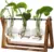 XXXFlower 3-Bulb Vase Plant Terrarium Air Planter w/ Wooden Stand – $9.91