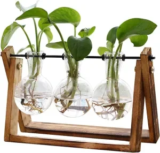 XXXFlower 3-Bulb Plant Terrarium Air Planter with Wooden Stand – $9.49