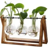XXXFLOWER Plant Terrarium with Wooden Stand – $11.01