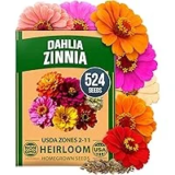 Zinnia Dahlia Seeds Pack of 524 for $6.29
