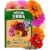 Zinnia Dahlia Seeds Pack of 524 for $6.29